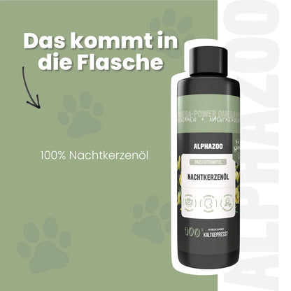 Nachtlysolie til hunde