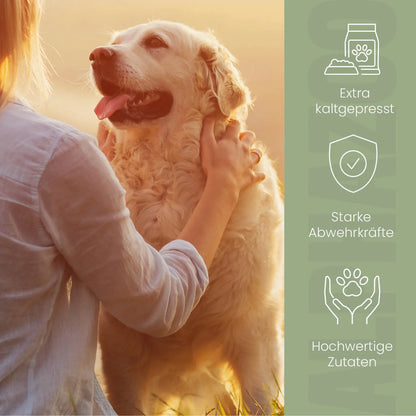 Nachtlysolie til hunde