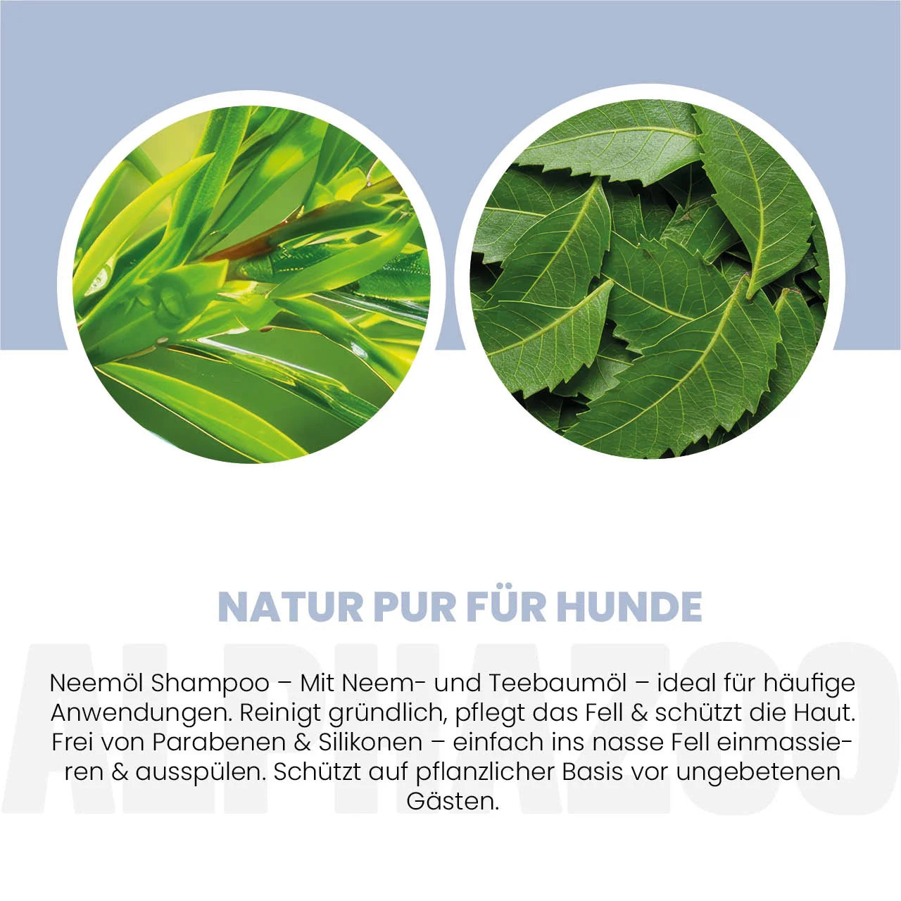 Neemolie shampoo til hunde