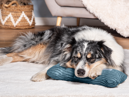 Pude KUSCHELKNOCHEN Ledning