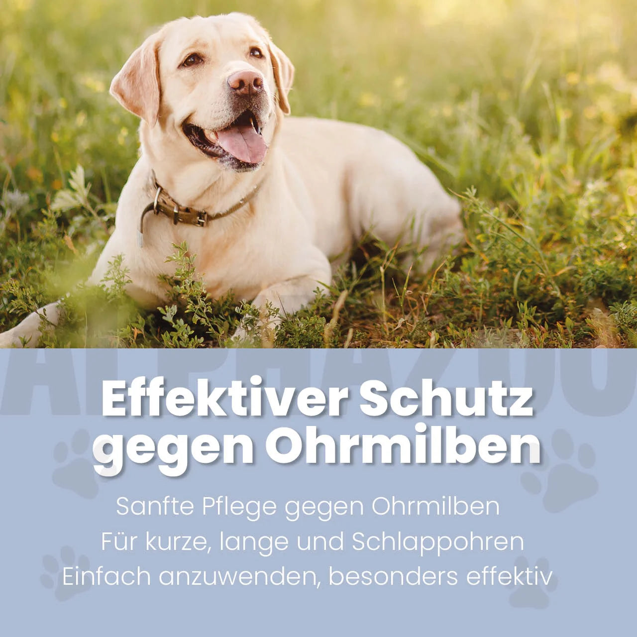 Øremideolie til hunde