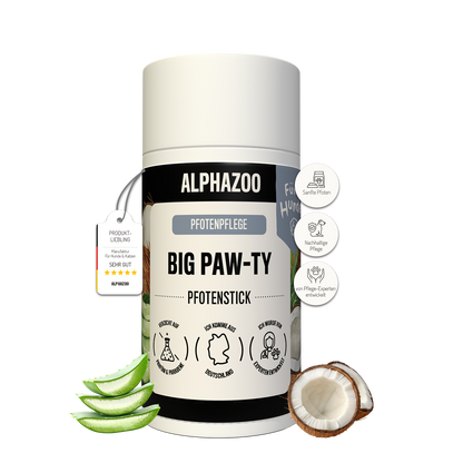 Big Paw-ty Potepleje til hunde