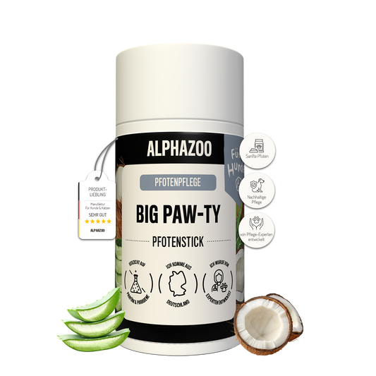 Big Paw-ty Potepleje til hunde