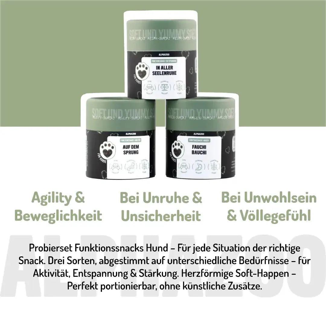 Prøvepakke Funktion-Snacks
