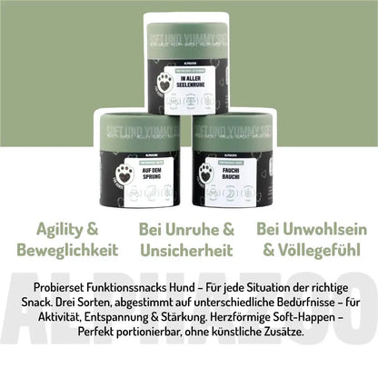 Prøvepakke Funktion-Snacks