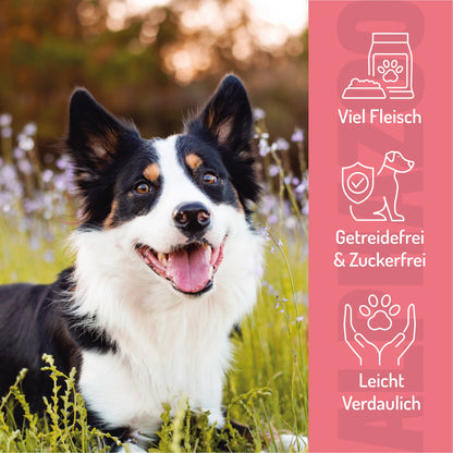 Prøvesæt Hundegodbidder
