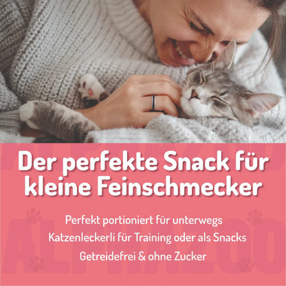 Godbidspakke Kat