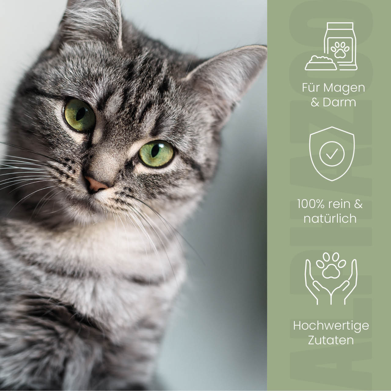 Pupsbremse Foderolie til katte