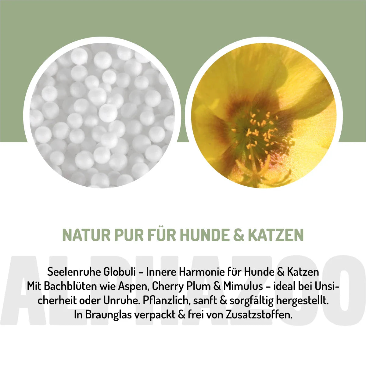 Bach Blomsterremedier til indre ro