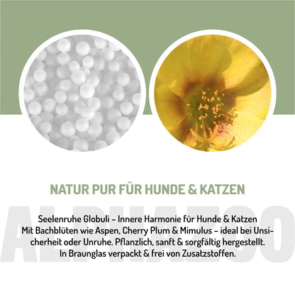 Bach Blomsterremedier til indre ro