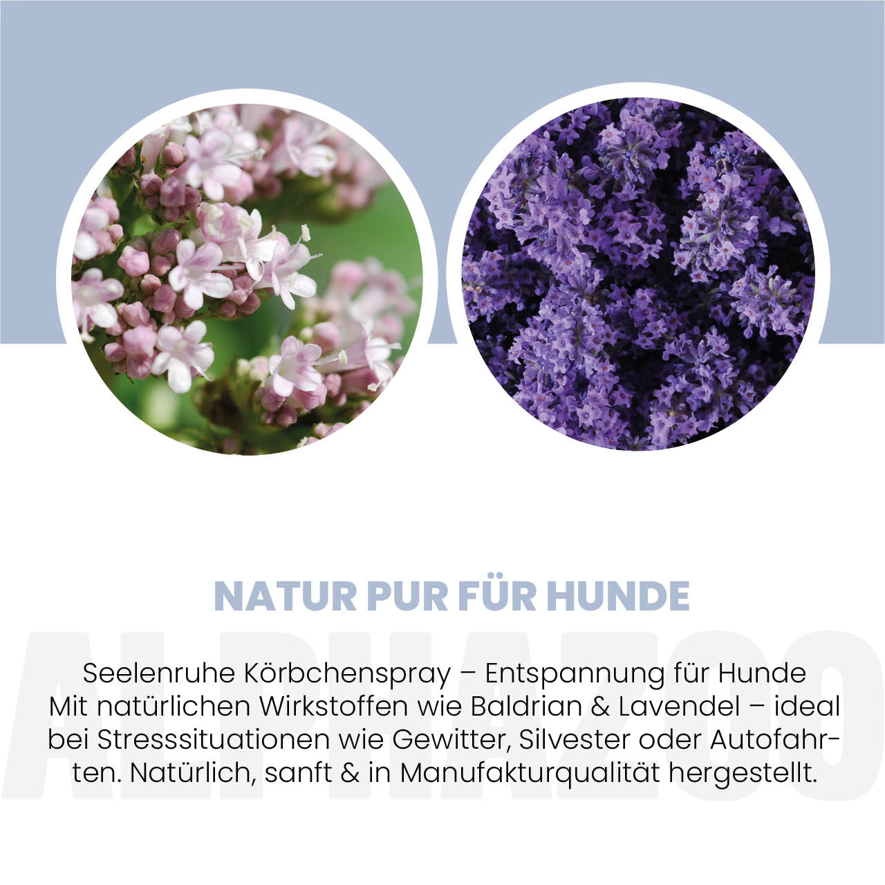 Seelenruhe kurvespray til hunde