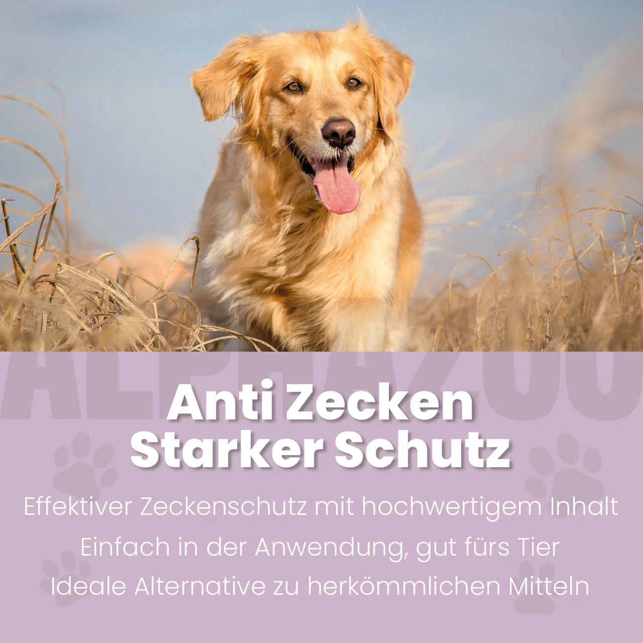 ZeckAttack Spot-On til hunde