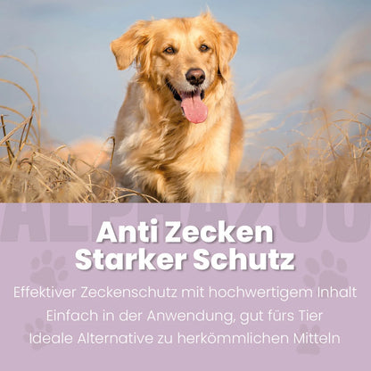ZeckAttack Spot-On til hunde
