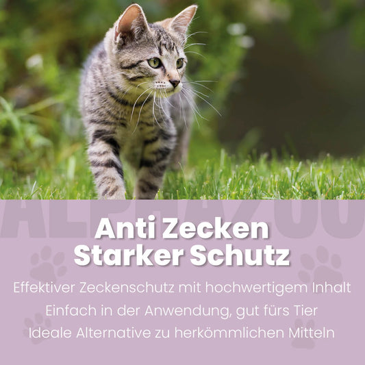 ZeckAttack Spot-On til katte